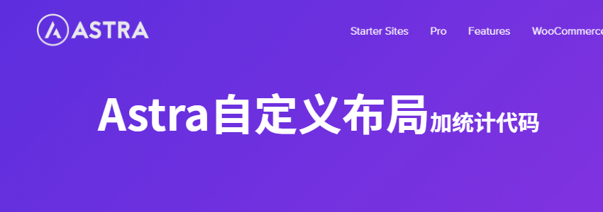 使用自定义布局功能为Astra主题添加Google统计代码